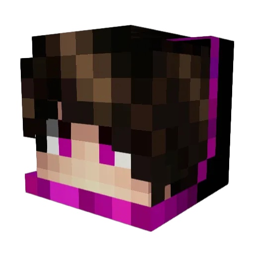 Jansku5185 Minecraft avatar head, 3D render