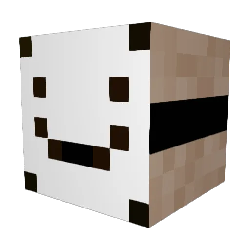 JanskuPro111 Minecraft avatar head, 3D render