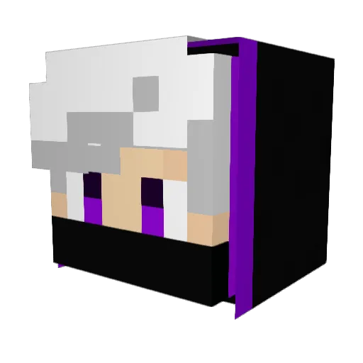 JanstyGamer Minecraft avatar head, 3D render