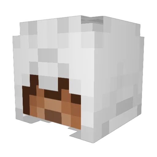 Jansuke02 Minecraft avatar head, 3D render