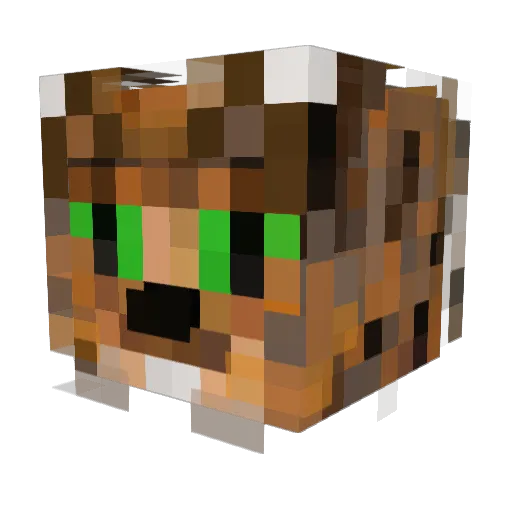 Janther Minecraft avatar head, 3D render