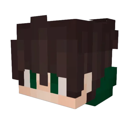 Janto2311 Minecraft avatar head, 3D render