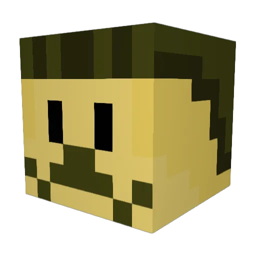 Janttu98 Minecraft avatar head, 3D render