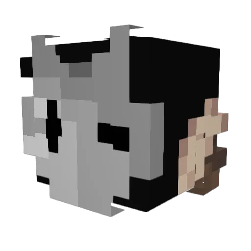 Janu70 Minecraft avatar head, 3D render