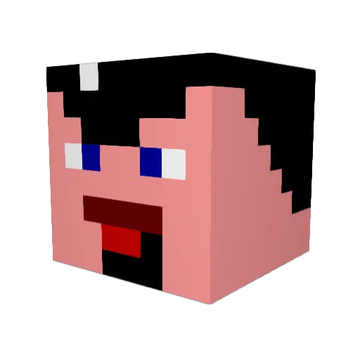 Janus92 Minecraft avatar head, 3D render