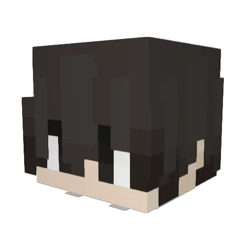 Januzkrol Minecraft avatar head, 3D render