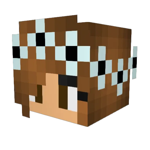 JanyBear Minecraft avatar head, 3D render