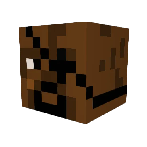 JanyFun Minecraft avatar head, 3D render