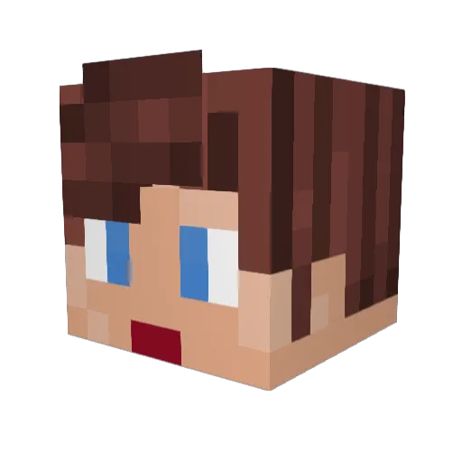 Janzzon99 Minecraft avatar head, 3D render