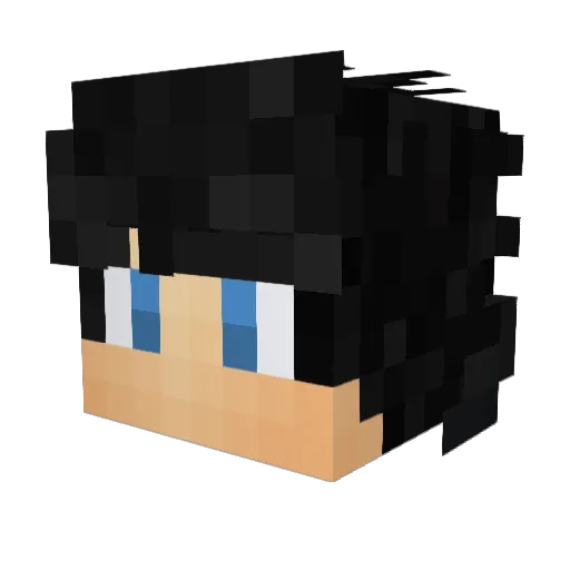 Jao_001 Minecraft avatar head, 3D render