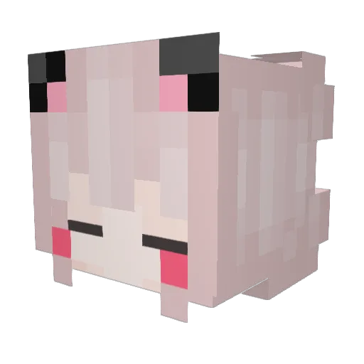 Jaonong Minecraft avatar head, 3D render