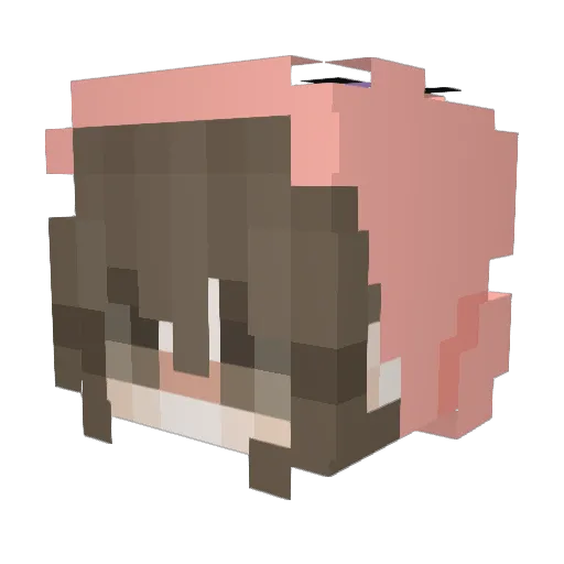 JappaBR Minecraft avatar head, 3D render