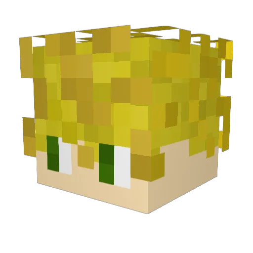 Jappiman13 Minecraft avatar head, 3D render