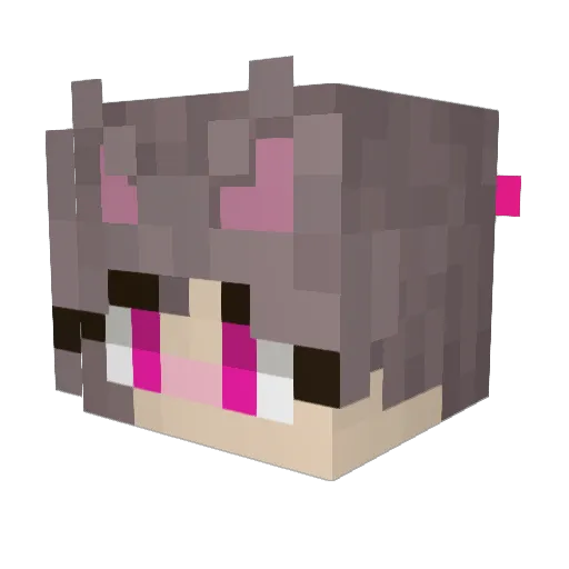 Jaqfie Minecraft avatar head, 3D render
