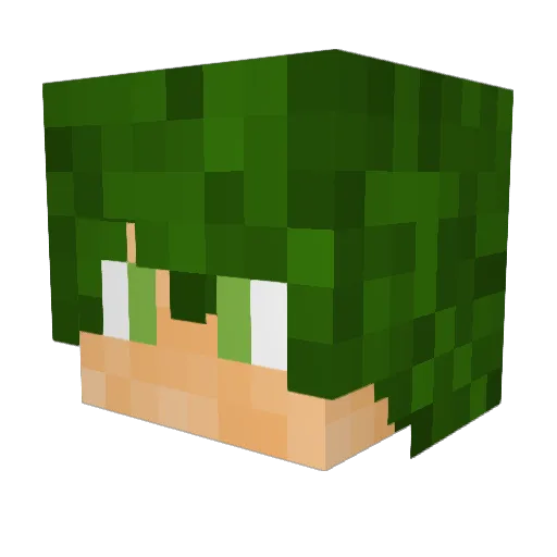 Jaqqbeq Minecraft avatar head, 3D render