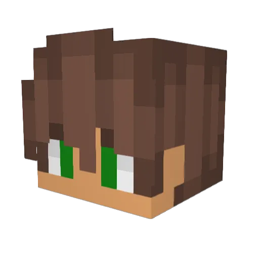 Jaqubea Minecraft avatar head, 3D render