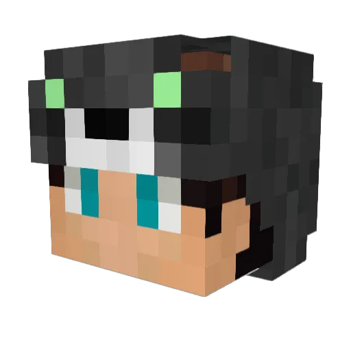 JaquinTheLad Minecraft avatar head, 3D render