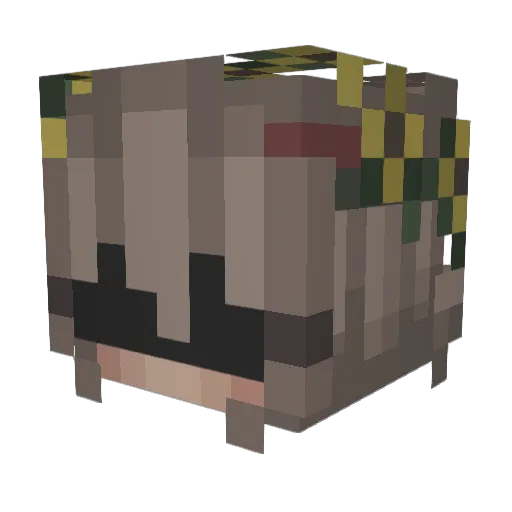 JarJarBinks92 Minecraft avatar head, 3D render