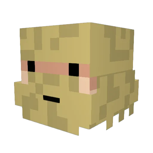 Jardal Minecraft avatar head, 3D render