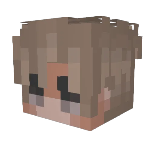 Jareatot Minecraft avatar head, 3D render