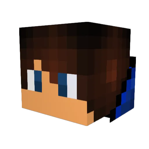 Jarebear198FTW Minecraft avatar head, 3D render