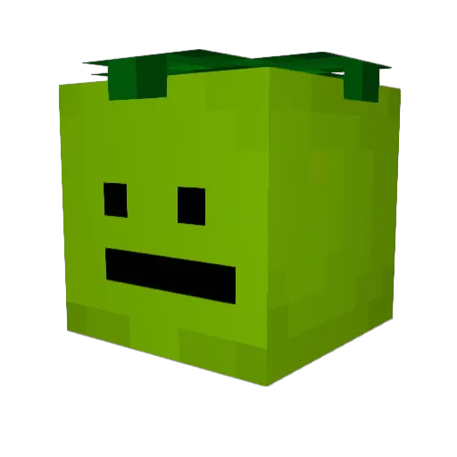 Jared315 Minecraft avatar head, 3D render