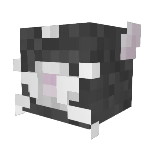 JaredFlatmore Minecraft avatar head, 3D render