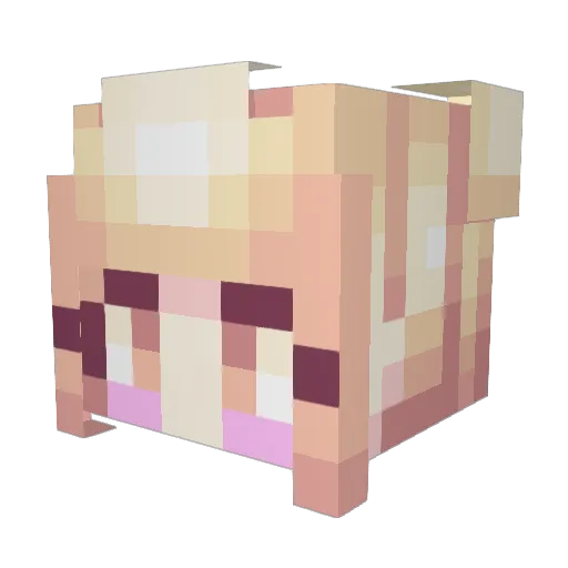 JaredJohnson Minecraft avatar head, 3D render