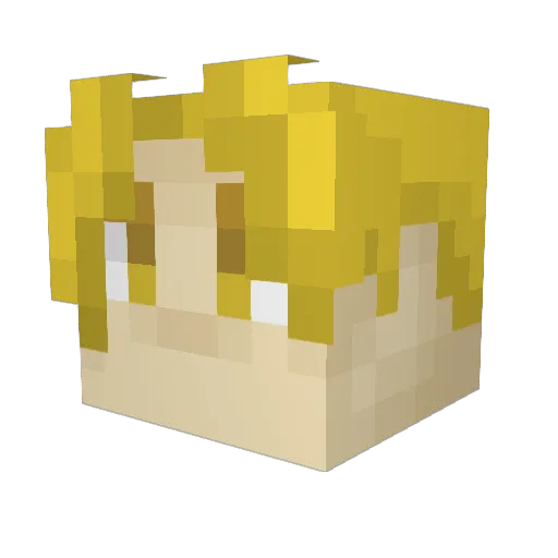 Jared_Brian_ Minecraft avatar head, 3D render