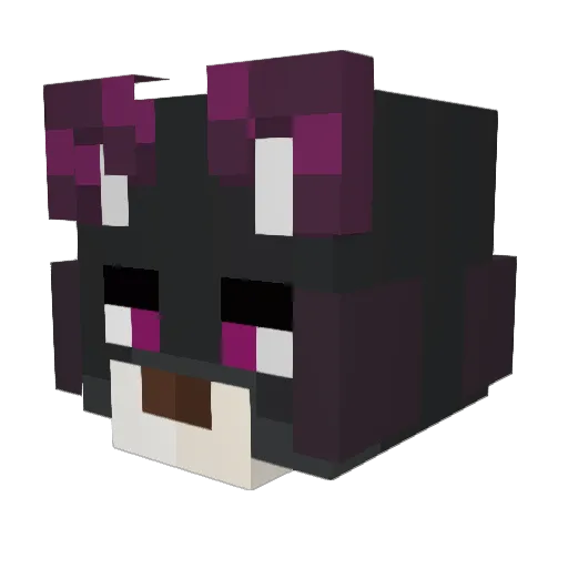 JarekTrzecii Minecraft avatar head, 3D render