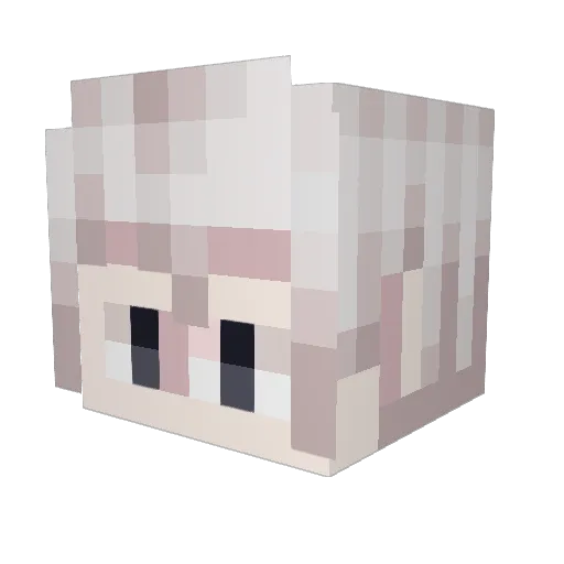 JarenRod Minecraft avatar head, 3D render