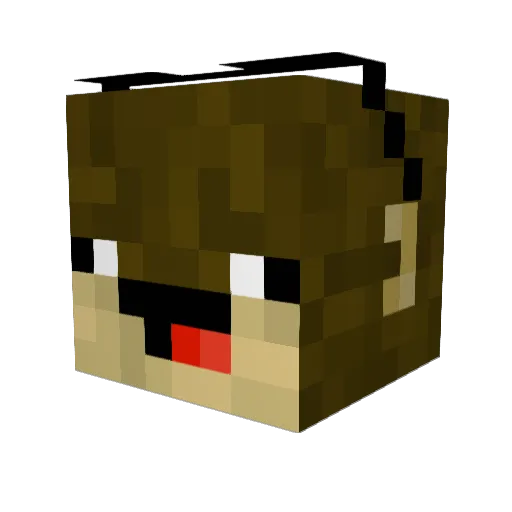 Jaret_Bomb Minecraft avatar head, 3D render
