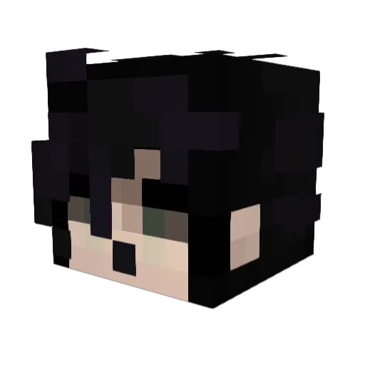 JarfullofHavoc Minecraft avatar head, 3D render
