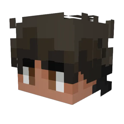 Jarinho_BR13 Minecraft avatar head, 3D render