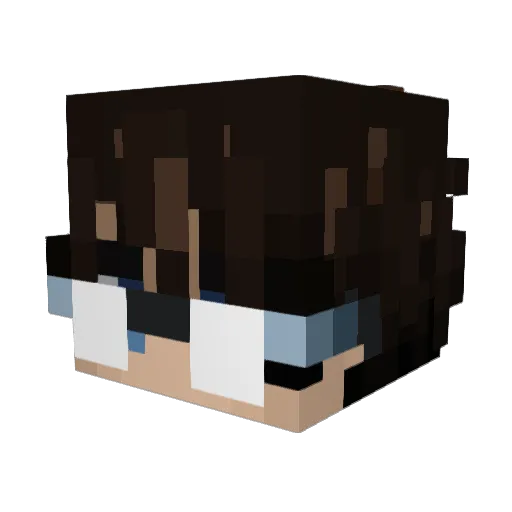 Jarjachaxd Minecraft avatar head, 3D render