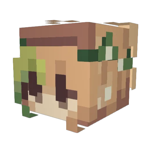 Jarko_exc Minecraft avatar head, 3D render