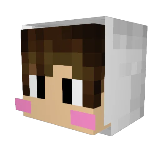 JarnLeoKunG Minecraft avatar head, 3D render