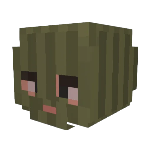 Jaro2002 Minecraft avatar head, 3D render