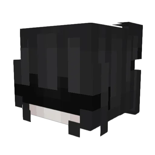 Jaronster Minecraft avatar head, 3D render