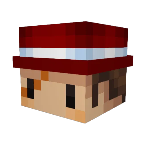 Jarrett118 Minecraft avatar head, 3D render