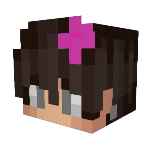 JarringPlayer Minecraft avatar head, 3D render