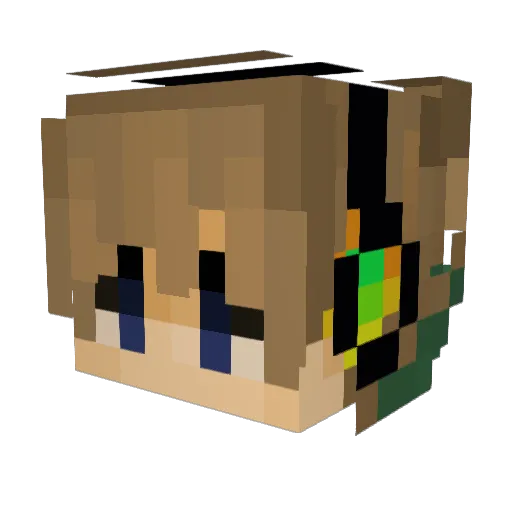 Jarryn01 Minecraft avatar head, 3D render