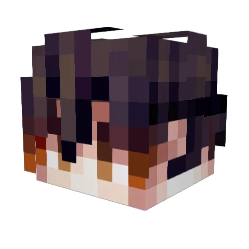 JarvisTakumi Minecraft avatar head, 3D render