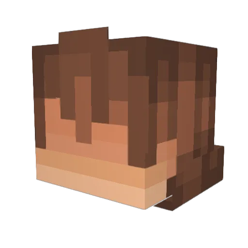 Jarza_ Minecraft avatar head, 3D render
