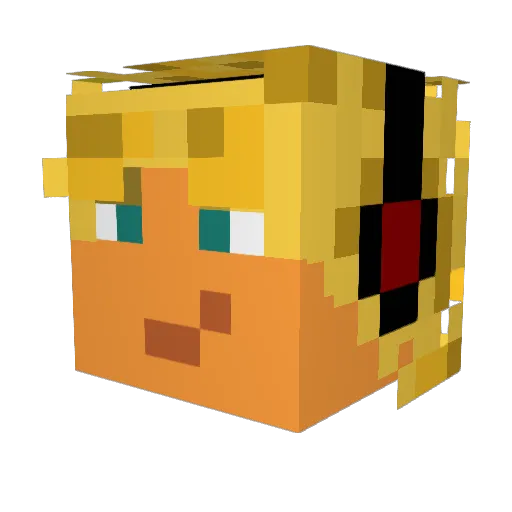 Jas0nB0urne Minecraft avatar head, 3D render