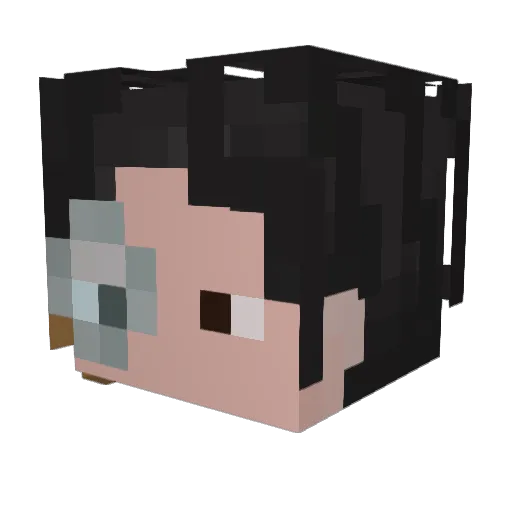 Jas0ntime4 Minecraft avatar head, 3D render