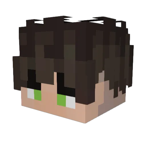 Jas17 Minecraft avatar head, 3D render