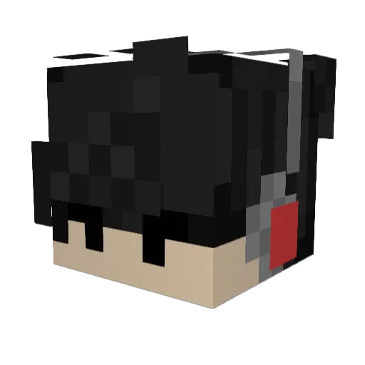 Jas2406 Minecraft avatar head, 3D render