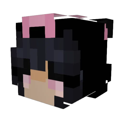 Jas707 Minecraft avatar head, 3D render