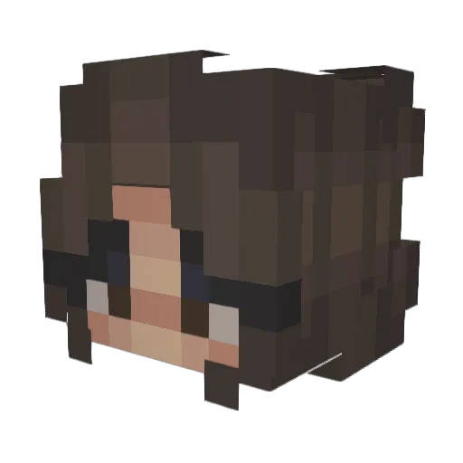 JasDiCaprio Minecraft avatar head, 3D render